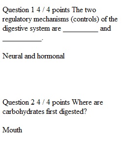 Week 12 Unit Exam 4